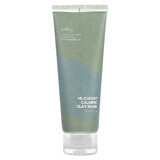 Isntree Artemisa Mascarilla facial purificante con arcilla, 100 ml