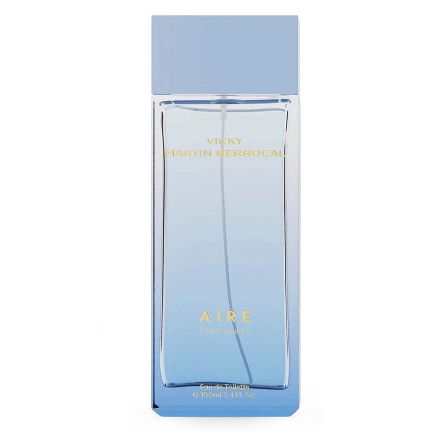 Vicky Martin Berrocal Aire Eau de Toilette, 100 ml