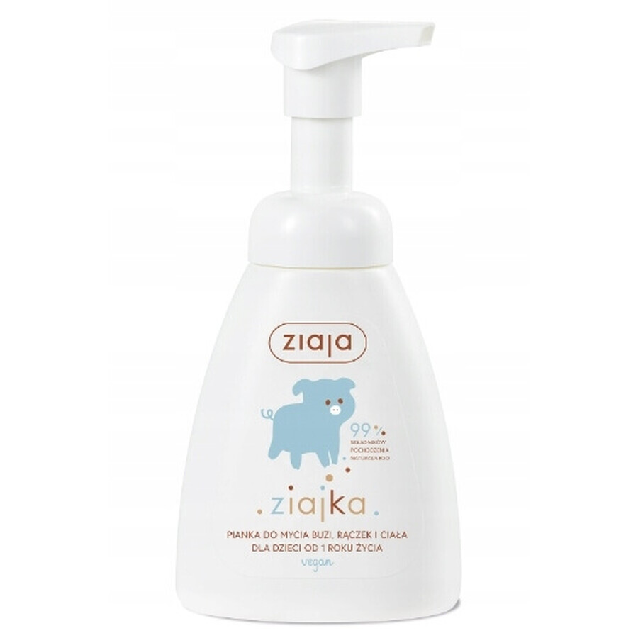 Boutique Ziajka, Mousse nettoyante pour le visage, les mains et le corps, 250ml Ziajka, Mousse nettoyante pour le visage, les mains et le corps, 250ml