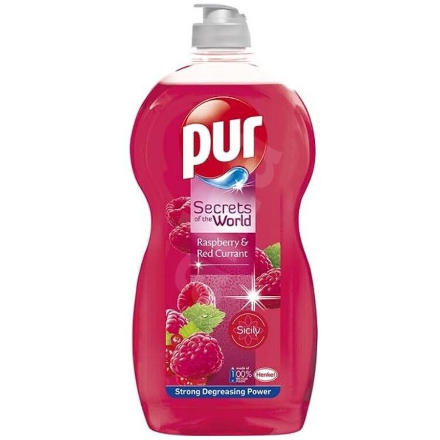 Shop Pur Secrets of World Himbeere amp; Rote Johannisbeere Geschirrspülmittel, 1,2 l Pur Secrets of World Himbeere amp; Rote Johannisbeere Geschirrspülmittel, 1,2 l