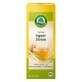 Organic green tea with ginger and lemon grass, 40 g, Lebensbaum