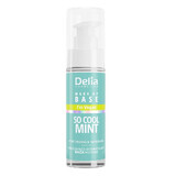 Delia Base de Maquillaje Vegana Hidratante y Refrescante So Cool Menta, 30 ml
