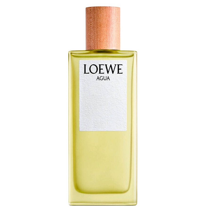 Winkel op Loewe Agua Eau de Toilette, 100 ml Loewe Agua Eau de Toilette, 100 ml