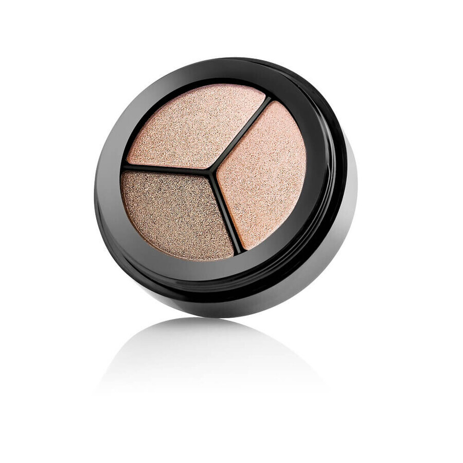 Buy Paese Dancing Queen Triple Eyeshadows 802, 5 g Paese Dancing Queen Triple Eyeshadows 802, 5 g