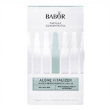 Babor Algae Vitalizer Revitalizing Ampoules, 7 x 2 ml