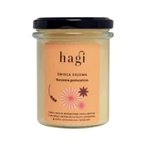 Hagi Kleine Sojakerze Würzige Orange, 215ml