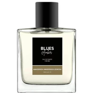 Melody Blues Amber Men Eau de Toilette, 100 ml