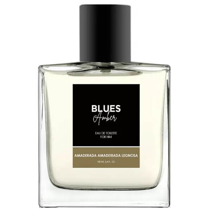 Shop Melody Blues Amber Men Eau de Toilette, 100 ml Melody Blues Amber Men Eau de Toilette, 100 ml