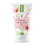 Lirene Poder de las plantas Rosa Gel limpiador calmante, 150 ml