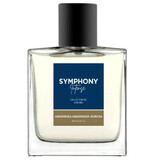 Agua de Colonia Melody Symphony Intense Men, 100 ml