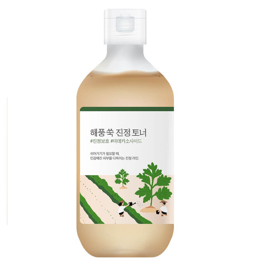Winkel op Round Lab Bijvoet verzachtende gezichtstonic, 300 ml Round Lab Bijvoet verzachtende gezichtstonic, 300 ml