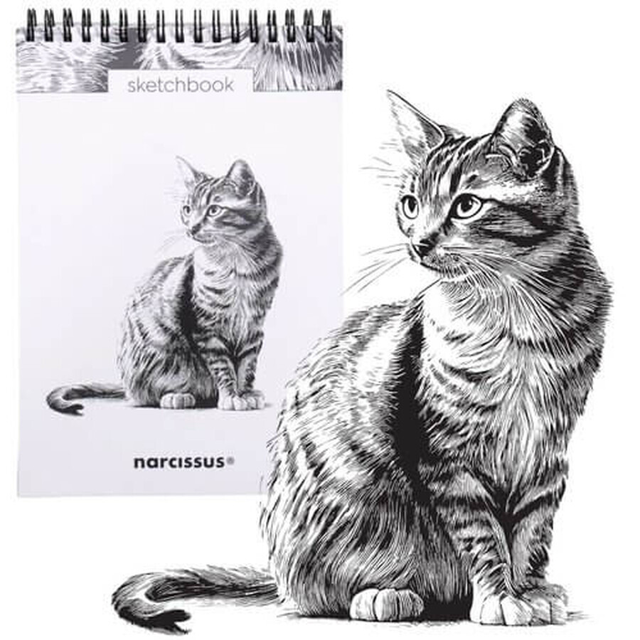 Sketchbook A5 verticale su spirale Cat 60k con perforazione 120 gsm