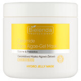 Bielenda Professional Hydro Jelly Mask Masque à base d'algues et de céramides, 190 g