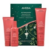 Aveda Nutriplenish Haarshampoo-Set, 100 ml + Haarspülung, 100 ml + Leave-in Conditioner, 150 ml