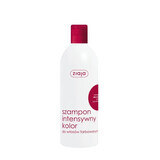 Ziaja, Shampoo, Intensive Farbe, Rizinusöl, 400ml
