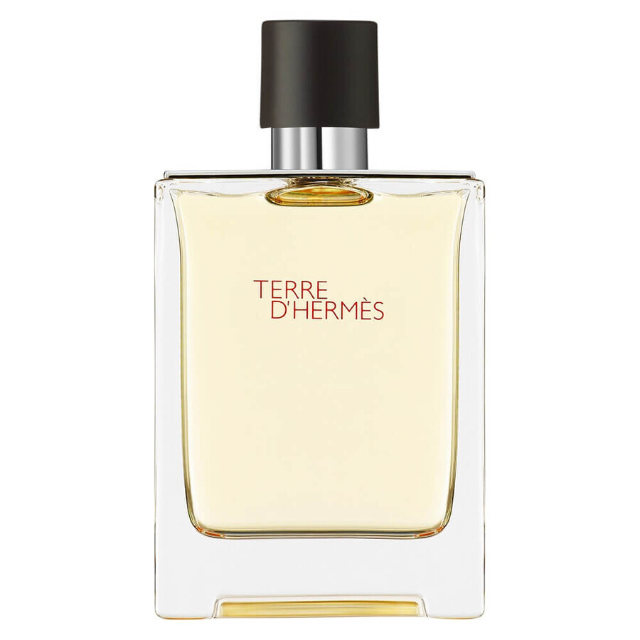 Hermes Terre D Hermes Eau de Toilette, 100 ml