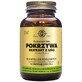 Solgar Brandnetel 60 capsules
