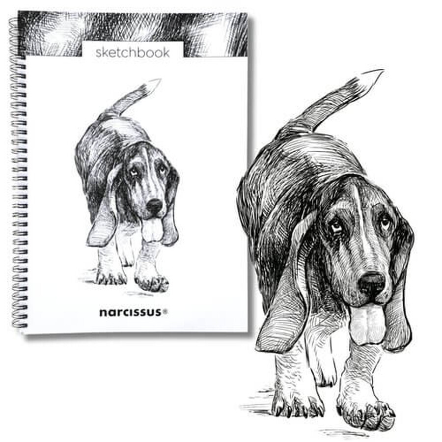 Cahier de croquis A4 à spirales Basset Hound 50k avec perforation 120 g/m² Narcisse