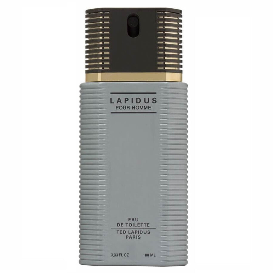 Ted Lapidus Lapidus Pour Homme Eau de Toilette, 100 ml