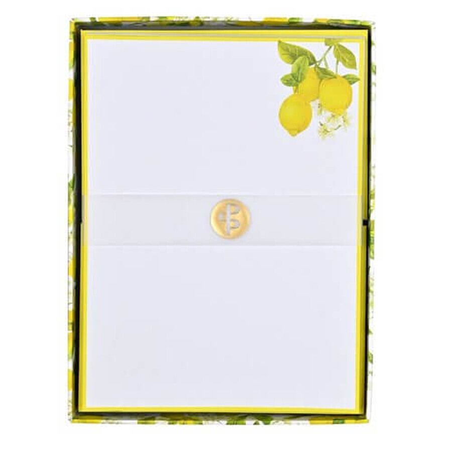 Cartoleria Lemon Amalfi Peter Pauper Press