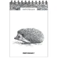 Sketchbook A5 vertical on spiral Hedgehog