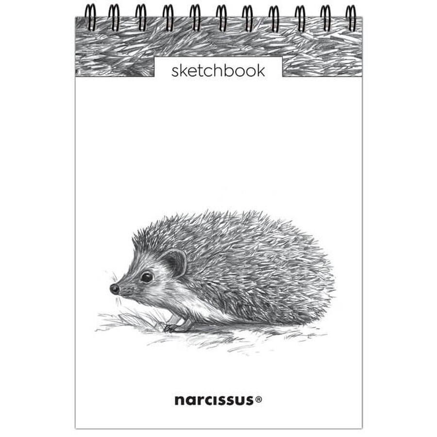 Album di schizzi A5 verticale su spirale Hedgehog