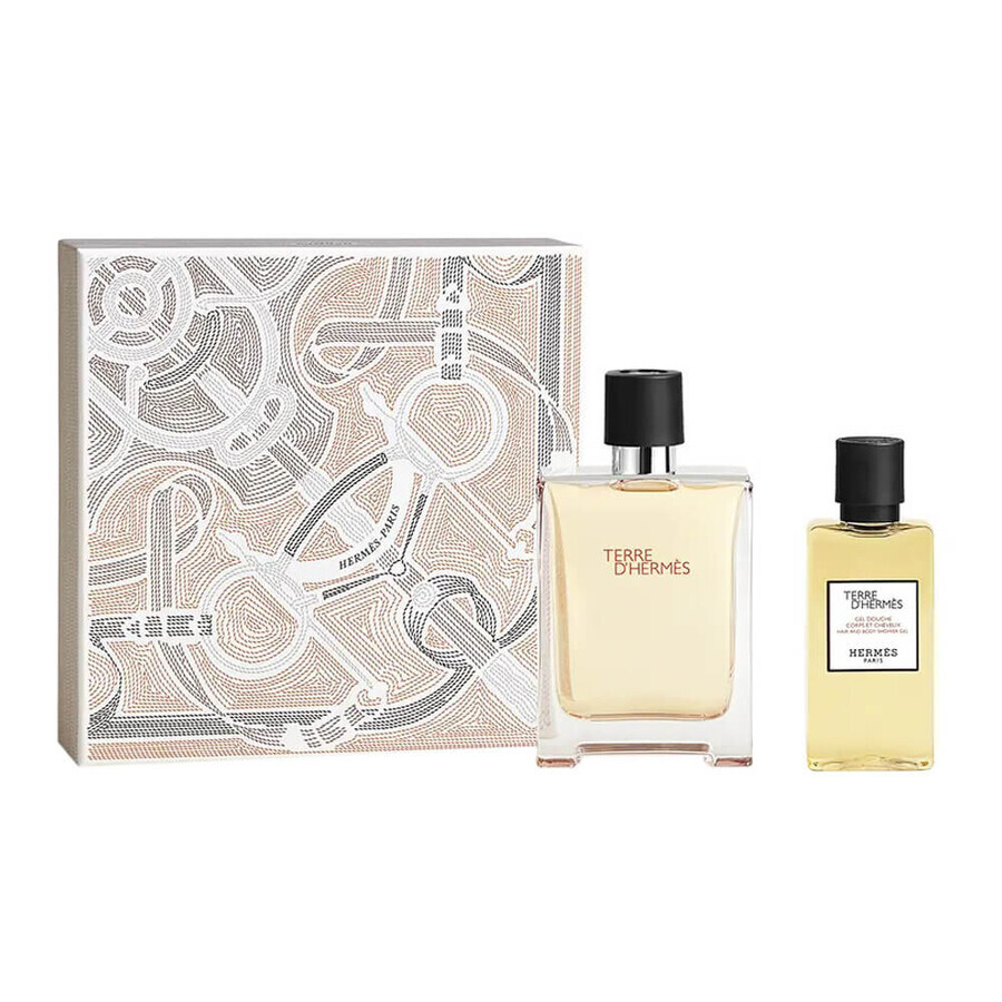 Boutique Hermes Terre D Hermes Set Eau de Toilette 100 ml + Gel douche 80 ml Hermes Terre D Hermes Set Eau de Toilette 100 ml + Gel douche 80 ml