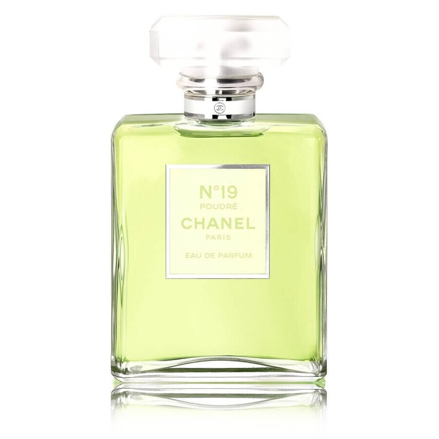 Comprar Agua de perfume Chanel nº 19 Poudre, 100 ml Agua de perfume Chanel nº 19 Poudre, 100 ml