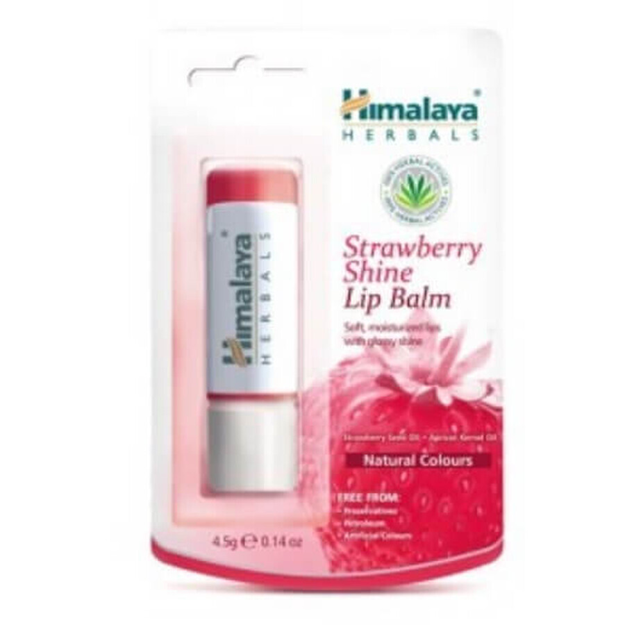 Winkel op Himalaya Lippenbalsem stick aardbei 4.5g Himalaya Lippenbalsem stick aardbei 4.5g