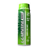 L-Carnitin Shot Waldfrüchte 80ml
