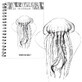 Skizzenbuch B5 mit Spiralbindung Medusa 60k mit Perforation 120 gsm