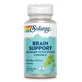 Apoyo Cerebral, 60 cápsulas, Secom