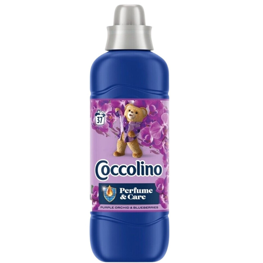 Coccolino Purple Orchid amp; Blueberries Rinse, 925 ml.