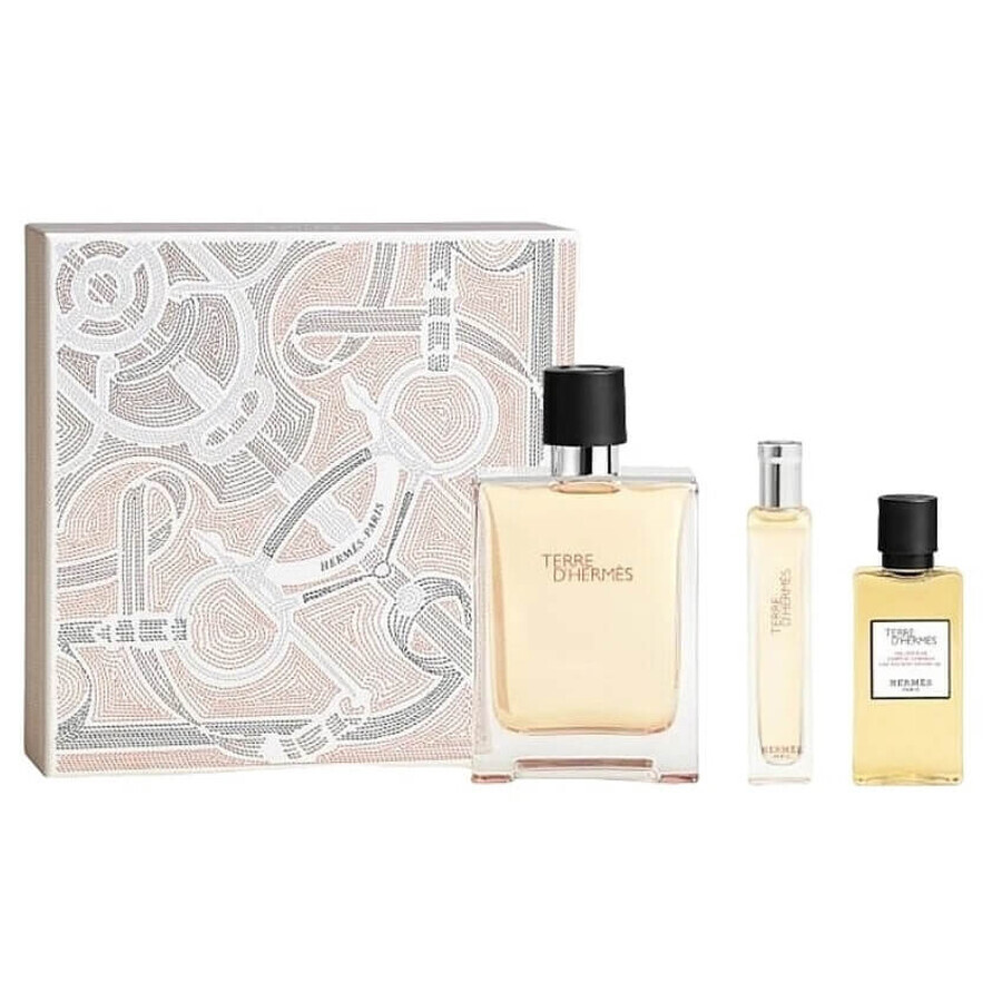 Shop Hermes Terre D Hermes Set Eau de Toilette, 100 ml + Eau de Toilette, 15 ml + Duschgel, 40 ml Hermes Terre D Hermes Set Eau de Toilette, 100 ml + Eau de Toilette, 15 ml + Duschgel, 40 ml