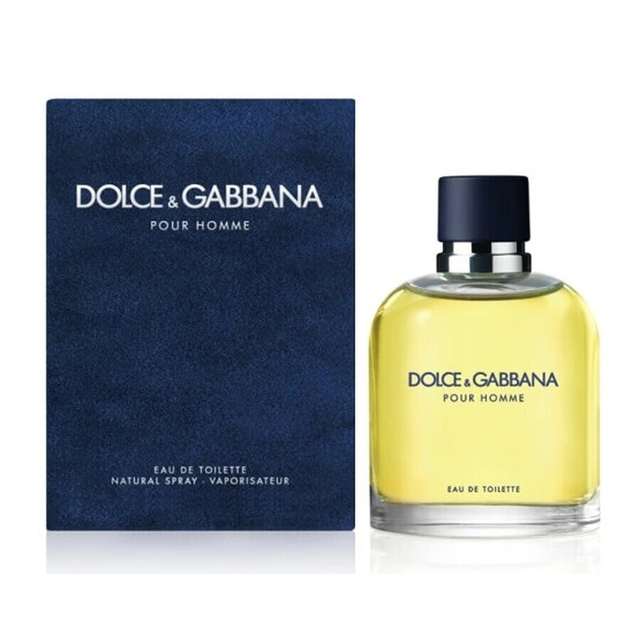 Dolce amp; Gabbana Pour Homme Eau de Toilette, 200ml