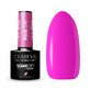 Claresa Soak Off UV/LED Sunny Garden Hybrid Varnish 547, 5 g