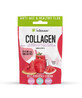 Intenson Collagen + Hyalurons&#228;ure Geschmacksrichtung Wassermelone, 10,8 g