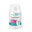 Bear's Mane Extract, 60 capsules, Rotta Natura