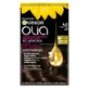 Garnier Olia Hair dye 4.0 Dark Brown