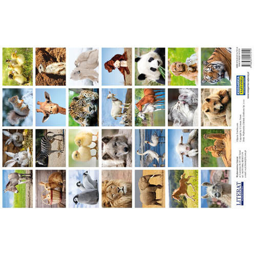 Boutique Autocollants Animaux Autocollants Animaux