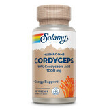 Cordyceps Solaray, 60 capsule, Secom