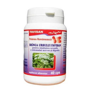 Gayuba, 40 cápsulas, Favisan