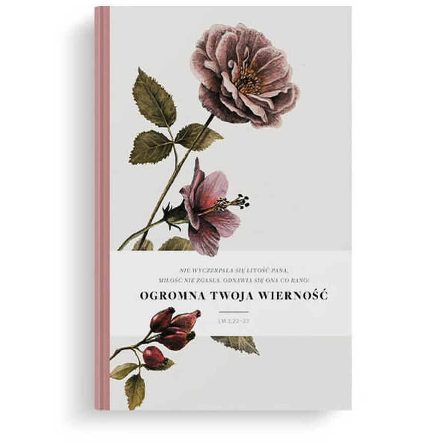 Buy Lux Notebook Not exhausted Rose Lux Notebook Not exhausted Rose