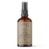 Jozka Aromatherapy mist for interiors and bedding Idą święta, 100 ml.
