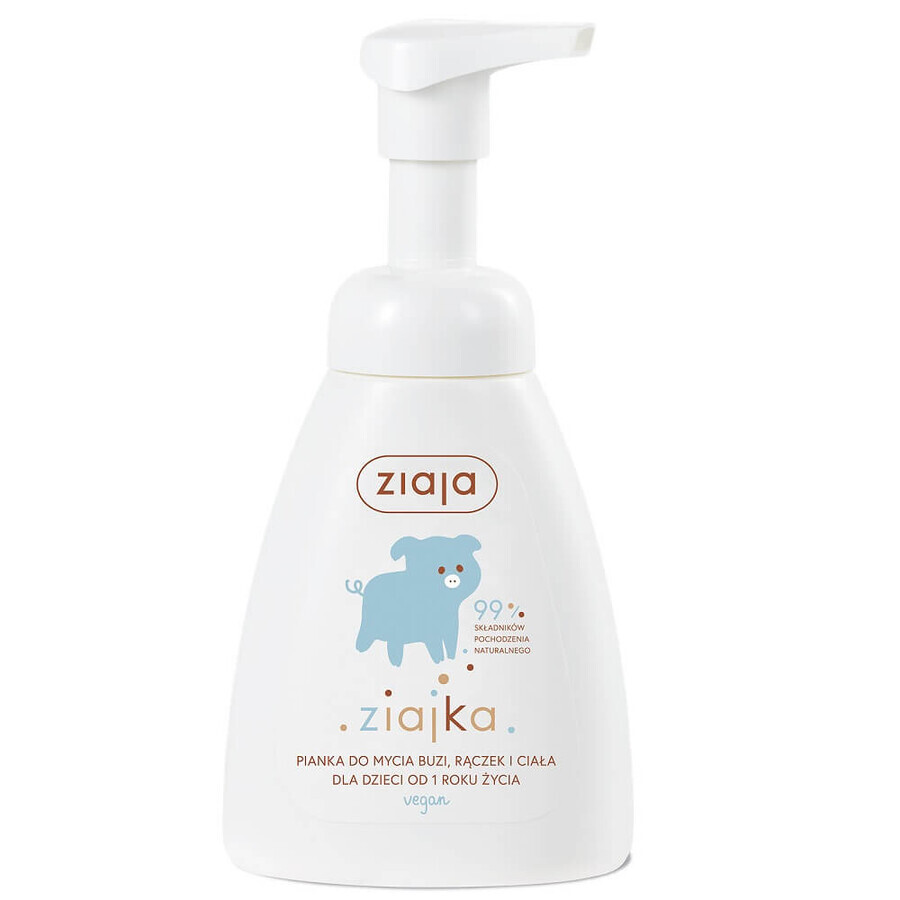 Cumpără Ziaja Ziajka Spumă pentru spălarea feței, mâinilor și corpului, 250 ml Ziaja Ziajka Spumă pentru spălarea feței, mâinilor și corpului, 250 ml