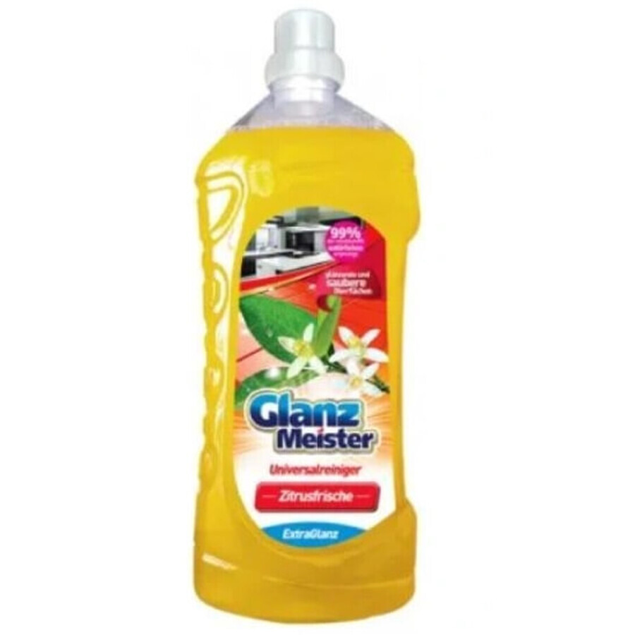 Acquista Glanz Meister Agrumi Detergente multiuso per superfici, 1,5 l Glanz Meister Agrumi Detergente multiuso per superfici, 1,5 l