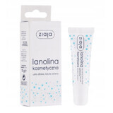 Ziaja, lanoline cosmétique, 10 g
