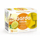 Garda Vocal 16 lozenges