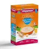 Crème de céréales sans gluten à base de riz, de maïs et de tapioca, +4 mois, 230g, Plasmon
