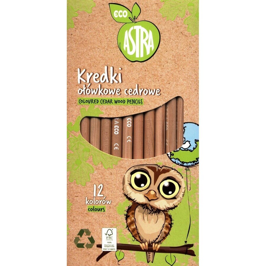 Buy Eco cedar pencil crayons 12 colors Eco cedar pencil crayons 12 colors